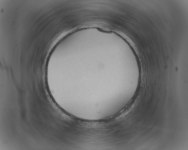 X0000081280949200702012215