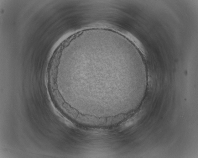 X0000081280950200702012215