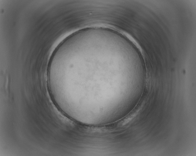 X0000081280951200702012215