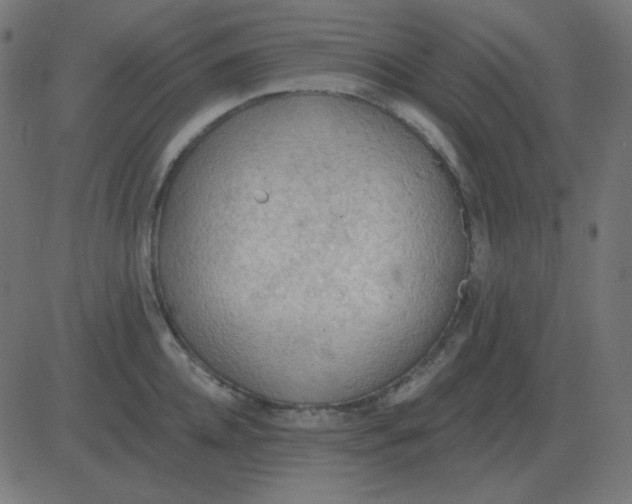 X0000081280952200702012215