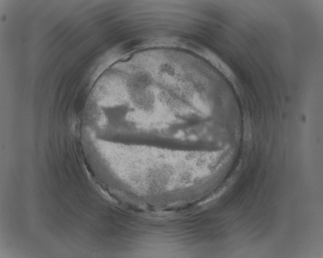 X0000081280953200702012215