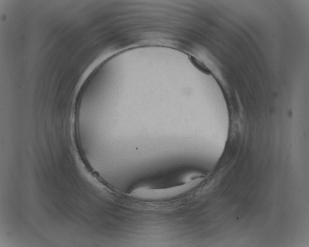 X0000081280955200702012215