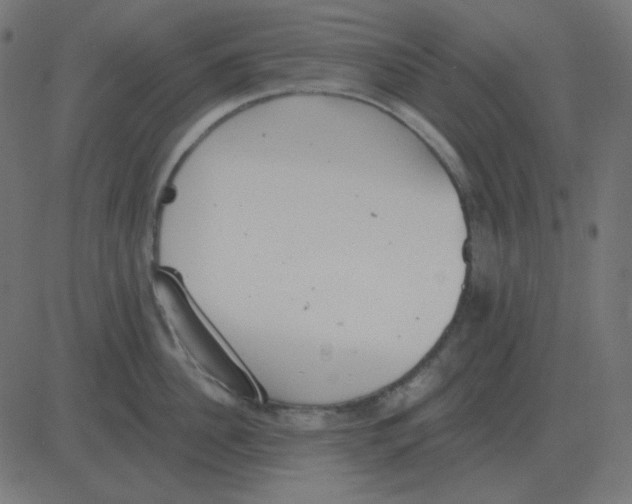 X0000081280956200702012215