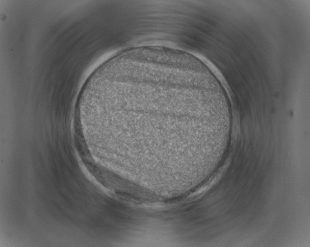 X0000081280957200702012215