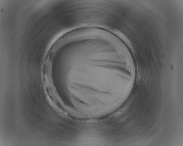 X0000081280958200702012215