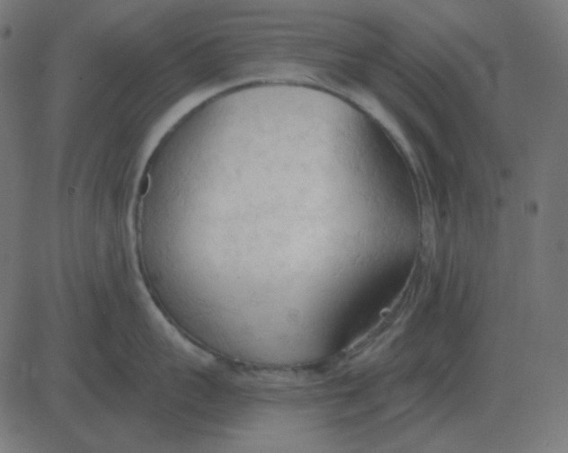 X0000081280959200702012215