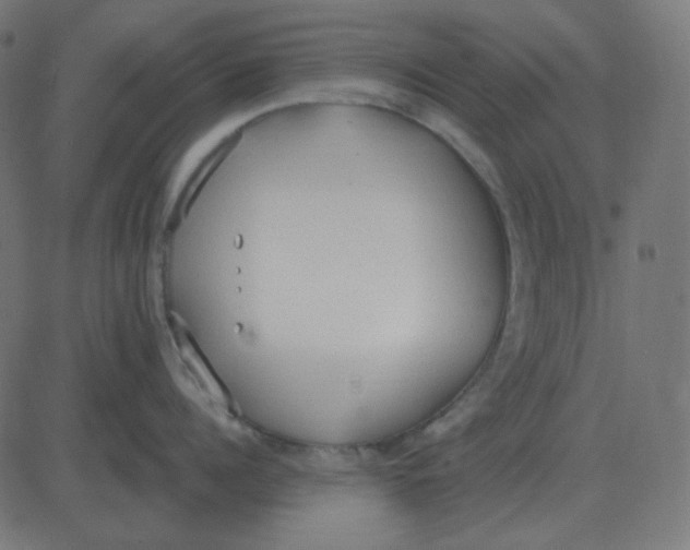 X0000081280960200702012215