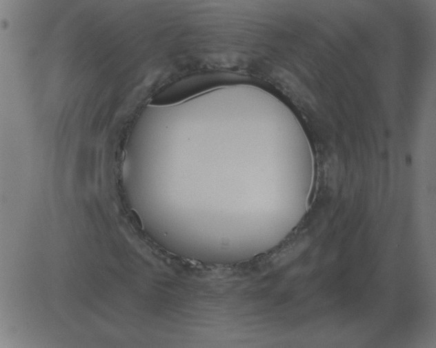 X0000081280961200702012215