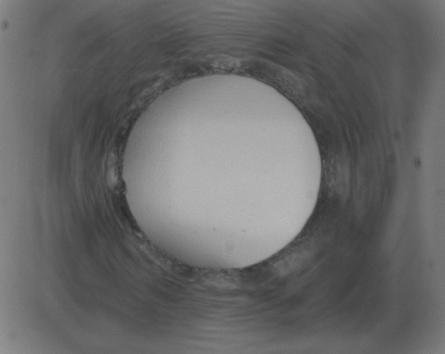 X0000081280962200702012215