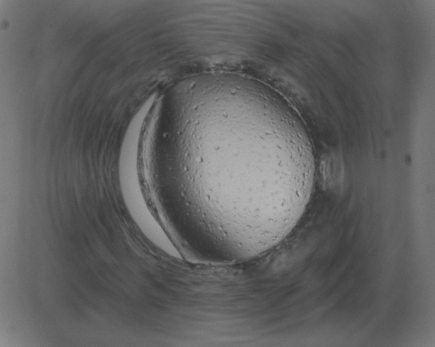 X0000081280963200702012215