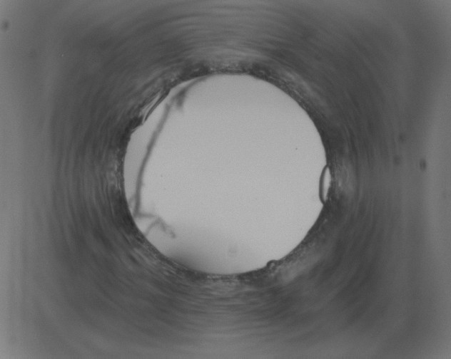 X0000081280964200702012215