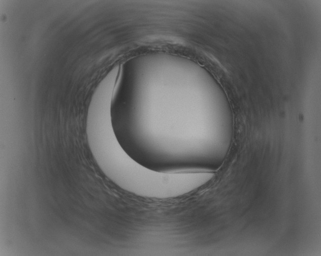 X0000081280965200702012214