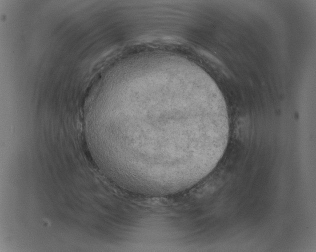 X0000081280966200702012214