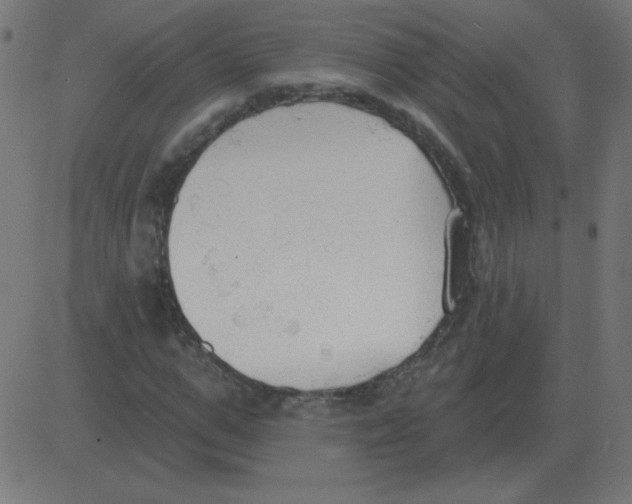 X0000081280967200702012214