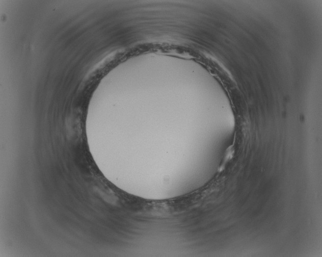 X0000081280968200702012214