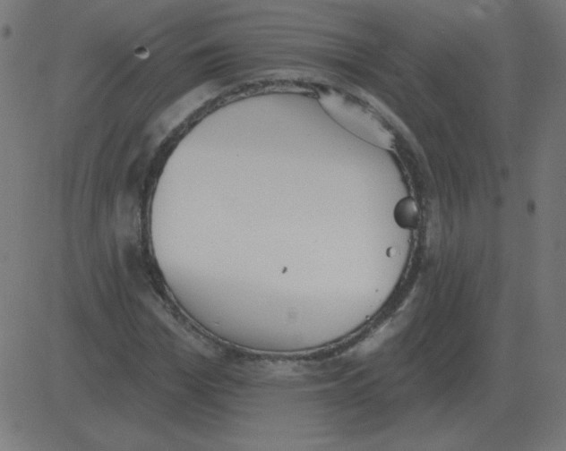 X0000081280969200702012214