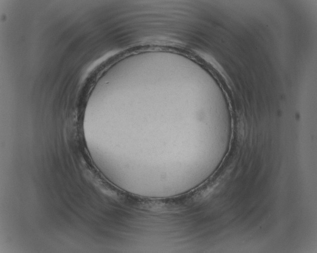 X0000081280971200702012214