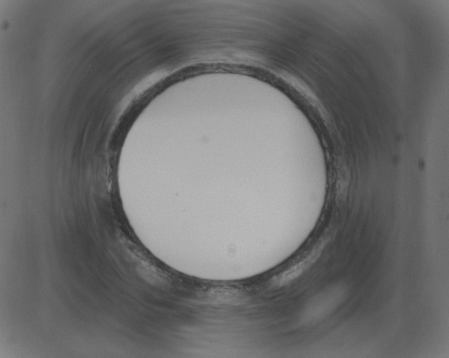 X0000081280974200702012214