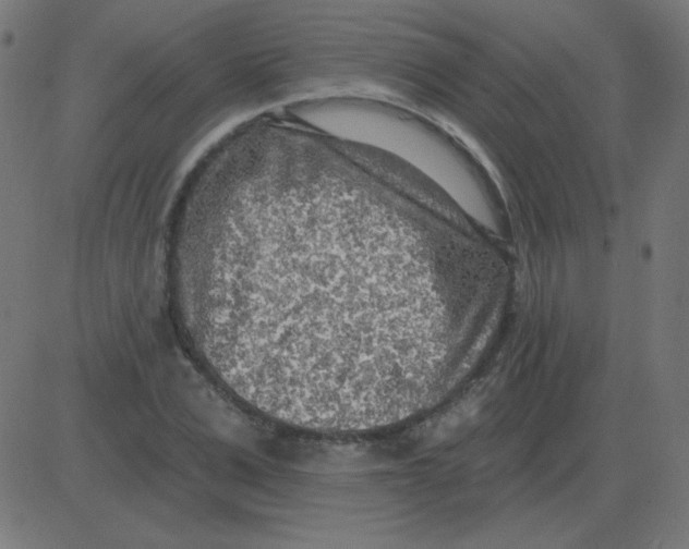 X0000081280975200702012214