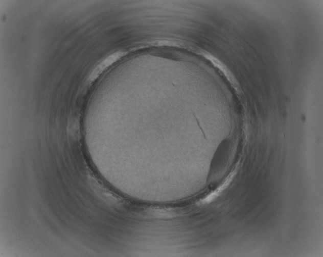 X0000081280977200702012214