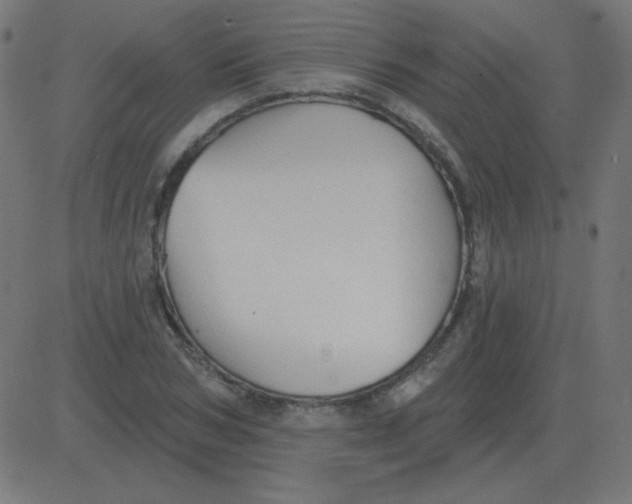 X0000081280978200702012214