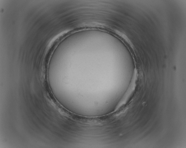 X0000081280979200702012214