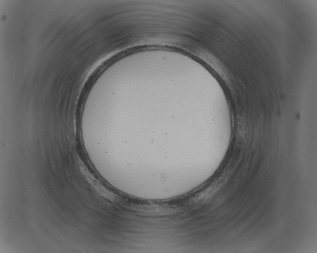 X0000081280980200702012214