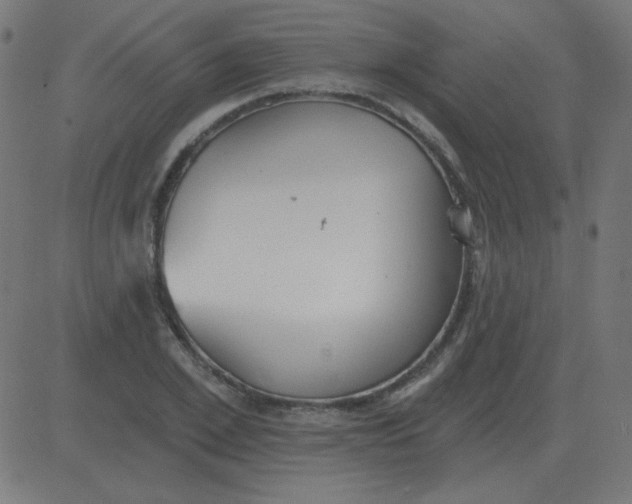 X0000081280981200702012214