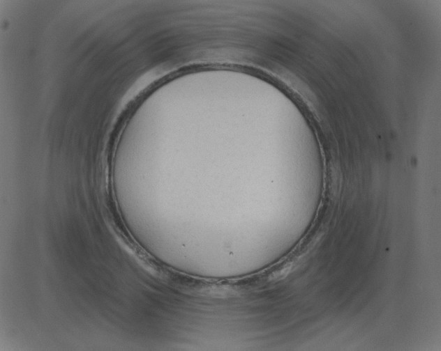 X0000081280982200702012214