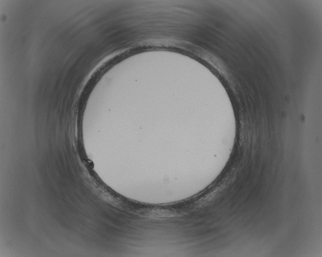 X0000081280984200702012214