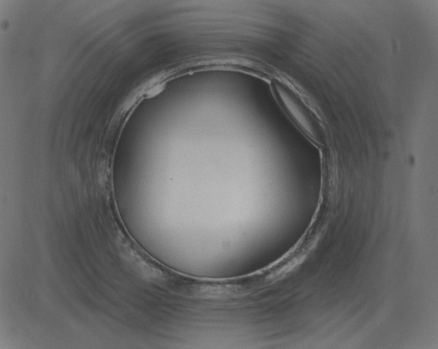 X0000081280985200702012214