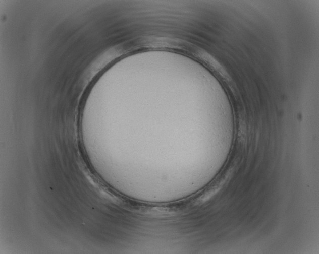 X0000081280986200702012214