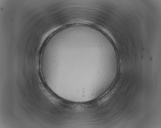 X0000081280987200702012214