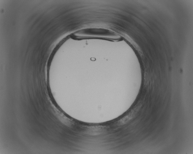 X0000081280988200702012214