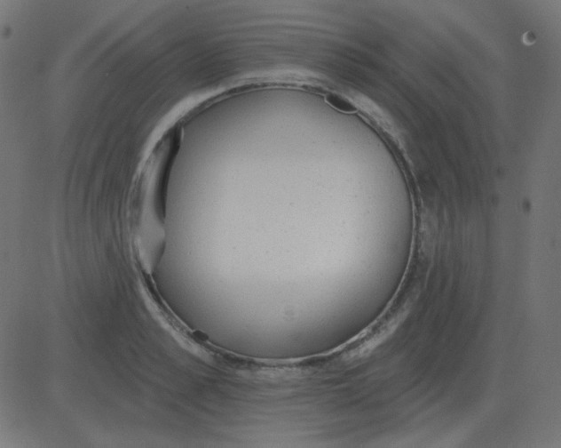 X0000081280989200702012214