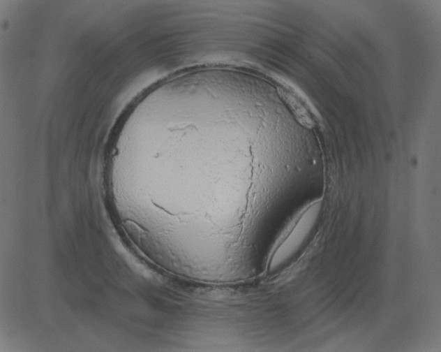 X0000081280991200702012214