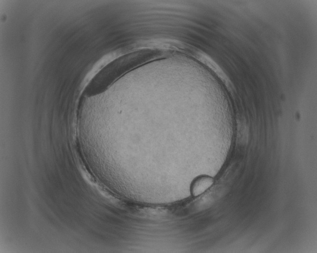 X0000081280994200702012214