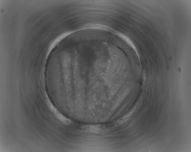 X0000081280995200702012214