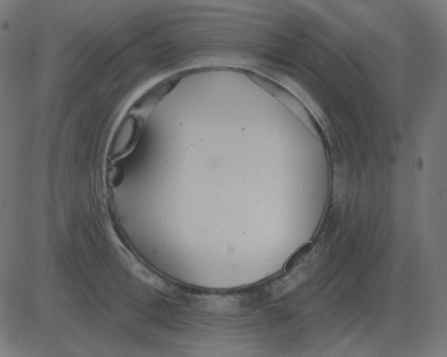 X0000081280996200702012214