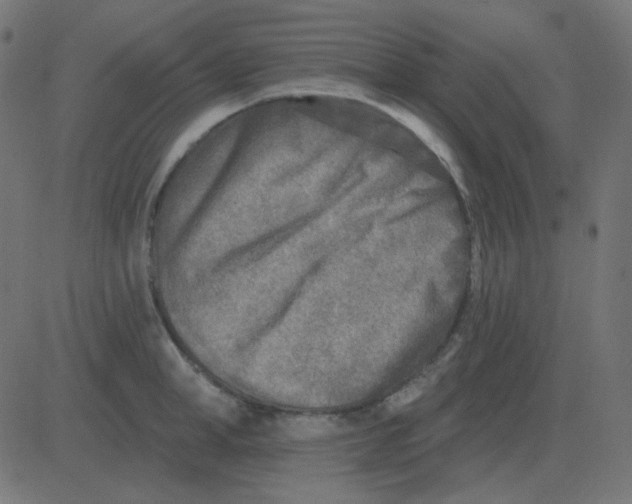 X0000081280998200702012214