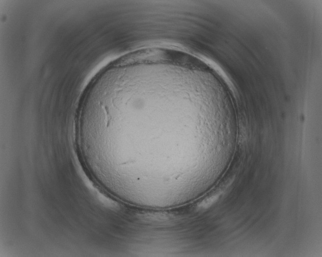 X0000081280999200702012214