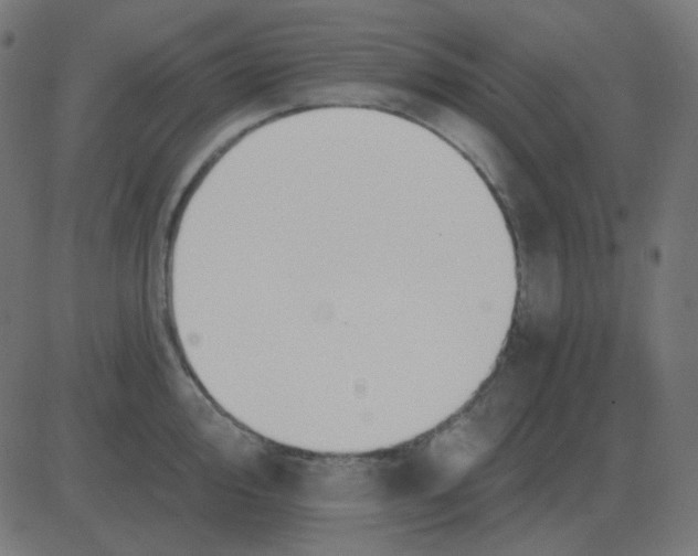 X0000081281000200702012214