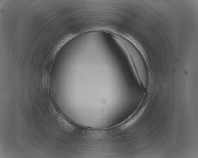 X0000081281001200702012214