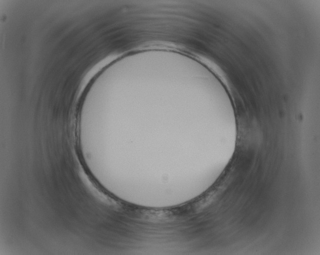 X0000081281003200702012214