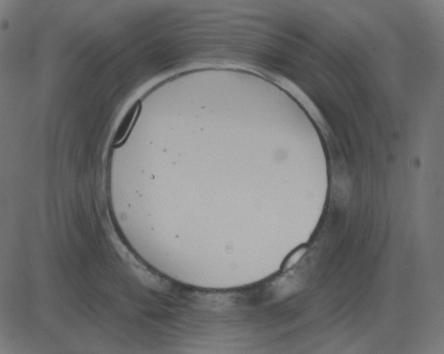 X0000081281004200702012214