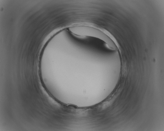 X0000081281005200702012214