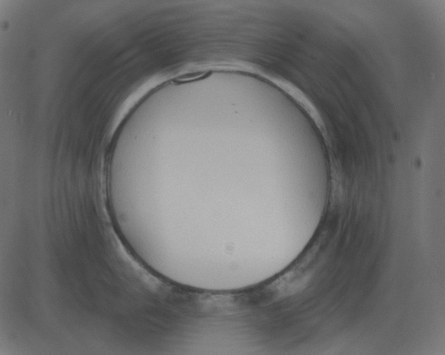 X0000081281006200702012214