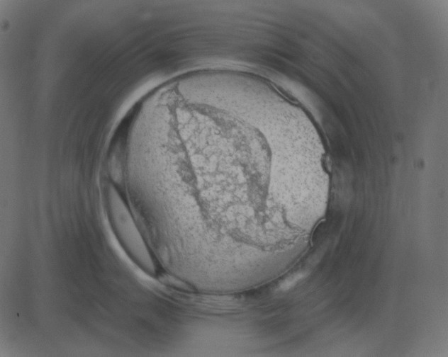 X0000081281007200702012214