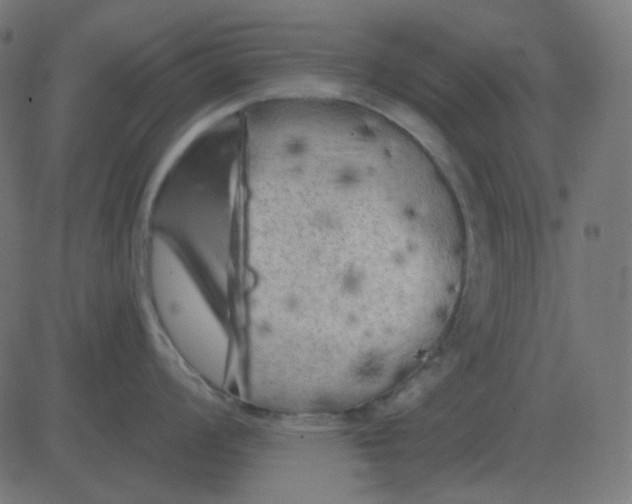 X0000081281008200702012214