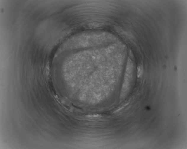 X0000081281011200702012213